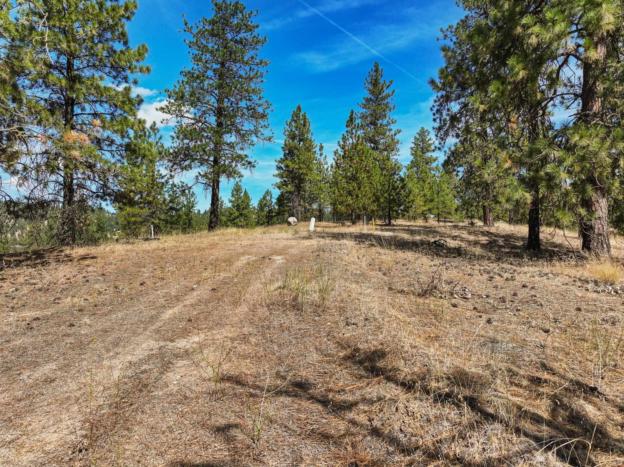 Land at NKA Cliff Ln, Spokane, WA