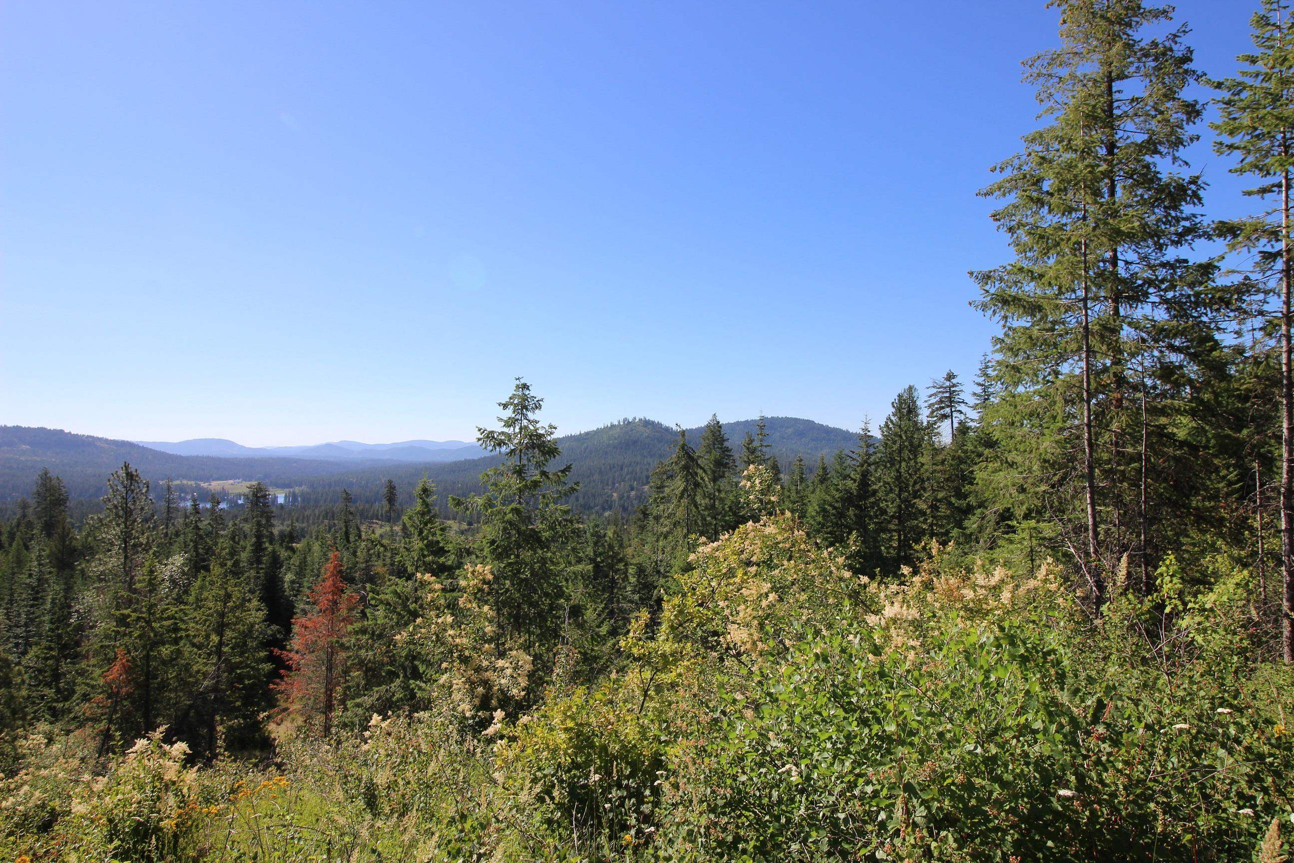 Land at XXX Buck Creek Rd, Newport, WA