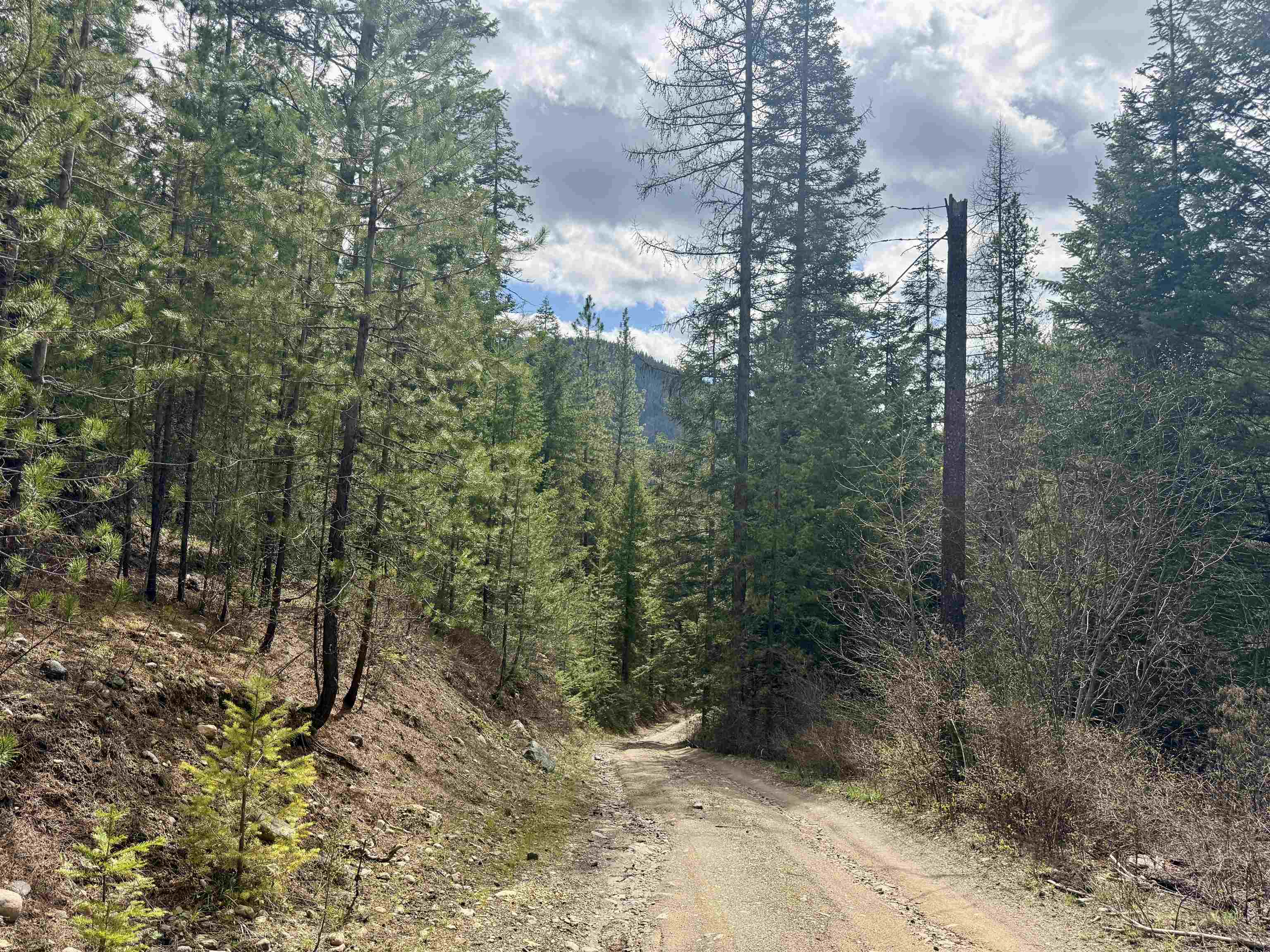 Land at 3706 k Waitts Lake Rd, Valley, WA