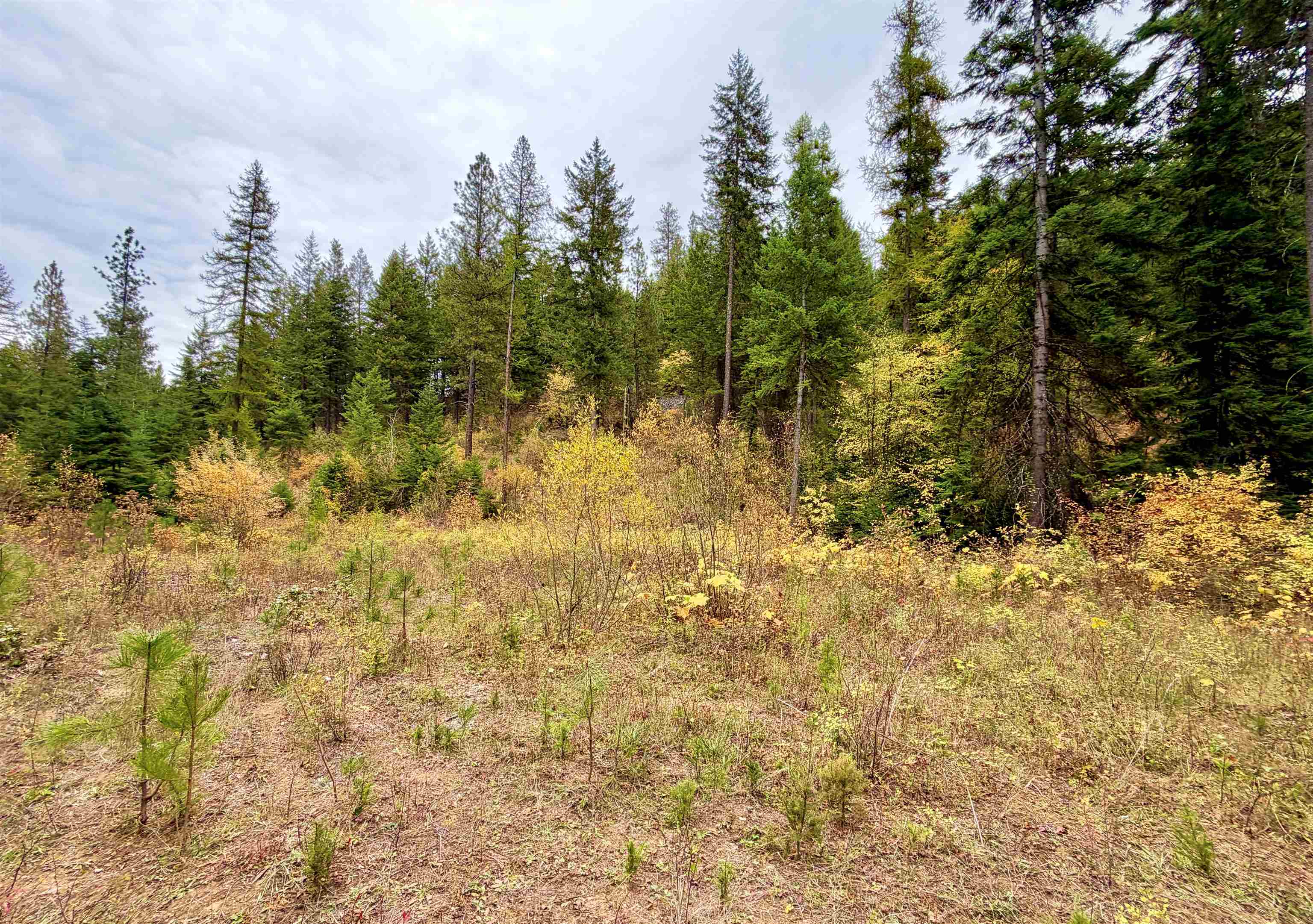 42XX Bussard Lake Rd