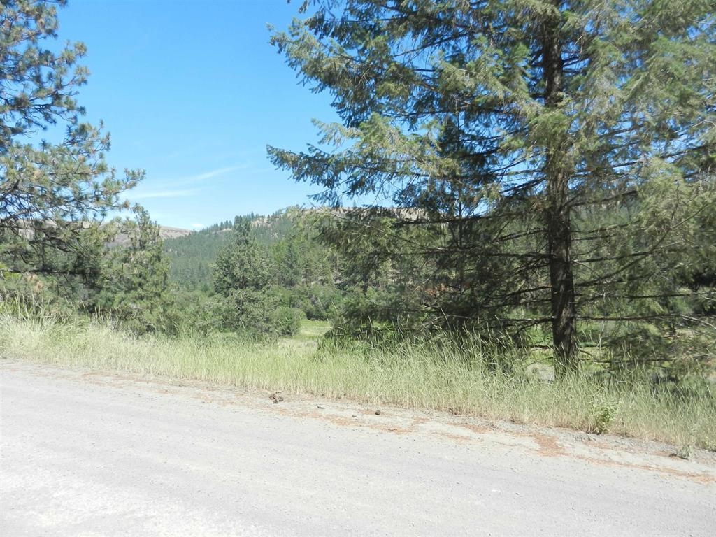 Land at Tracts 126/127 Hawk Creek Ranch Rd North Rd, Davenport, WA