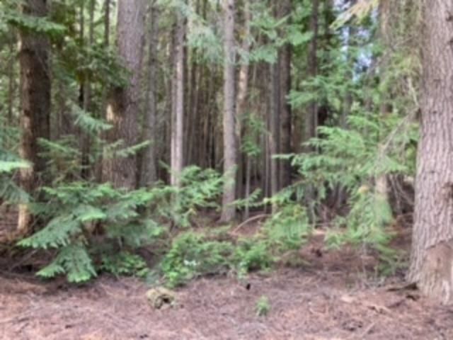 Land at Nka. Leslie Creek Rd, Chewelah, WA