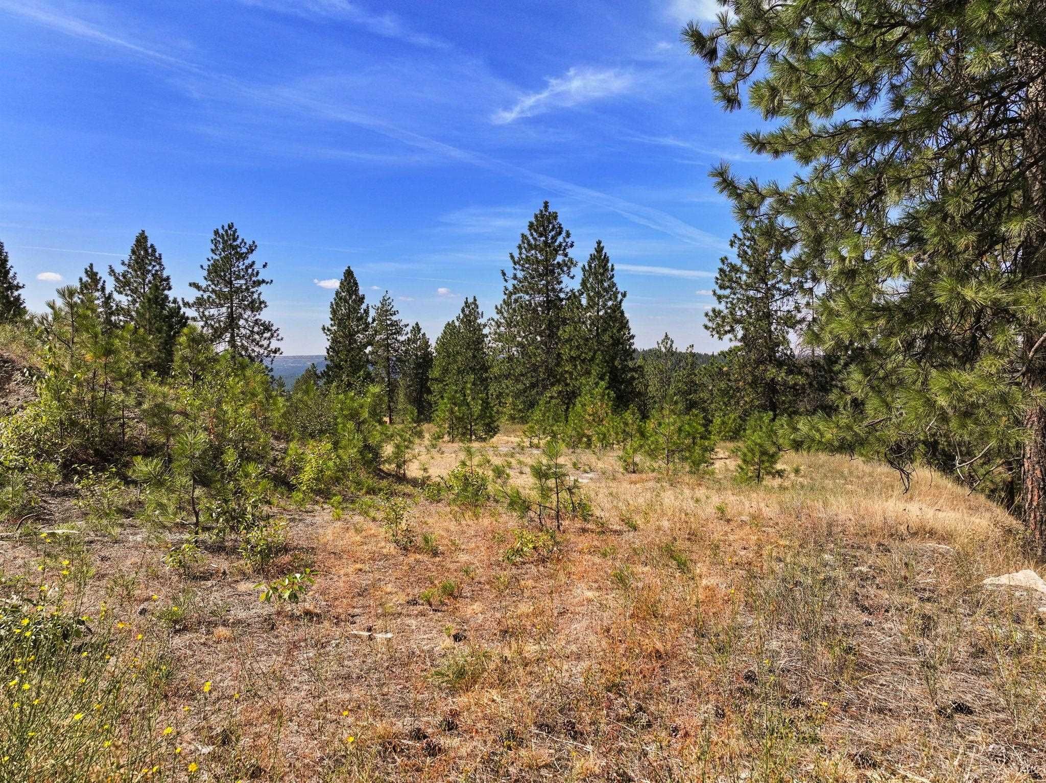 Land at NKA Cliff Ln, Spokane, WA