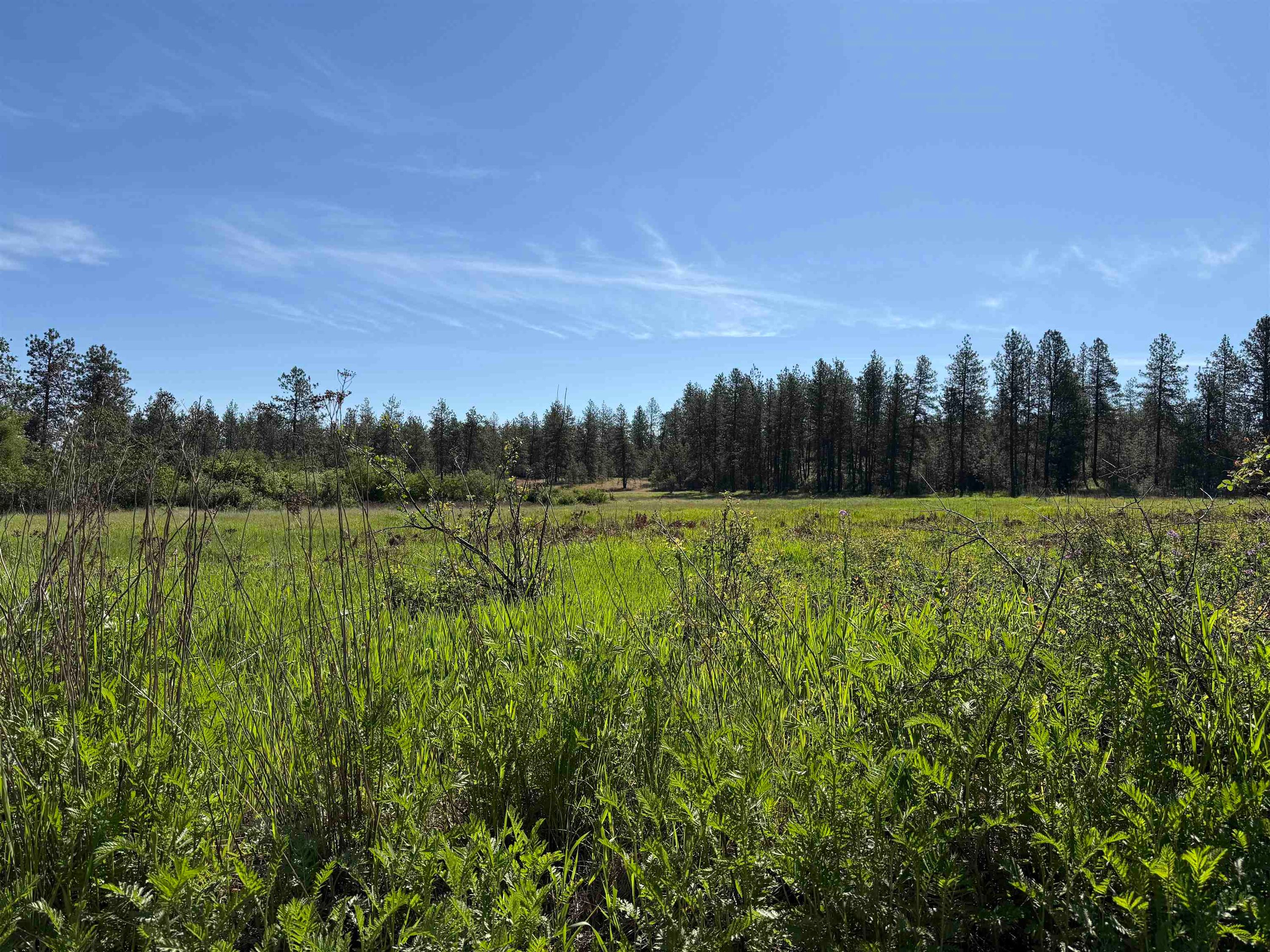 Land at 34XX Thorpe Rd, Spokane, WA