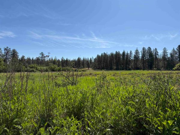 Land at 34XX Thorpe Rd, Spokane, WA